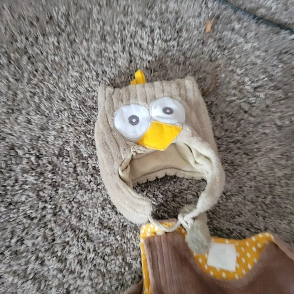 Owl Baby Costume with Hood 2 Piece Infant